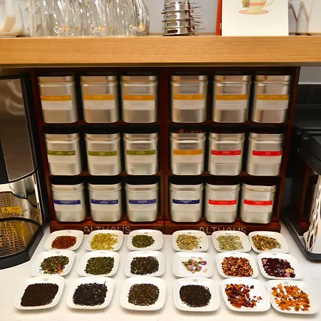 Hotel Classik Alexander Plaza