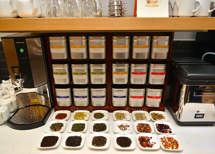 ホテル Classik Alexander Plaza